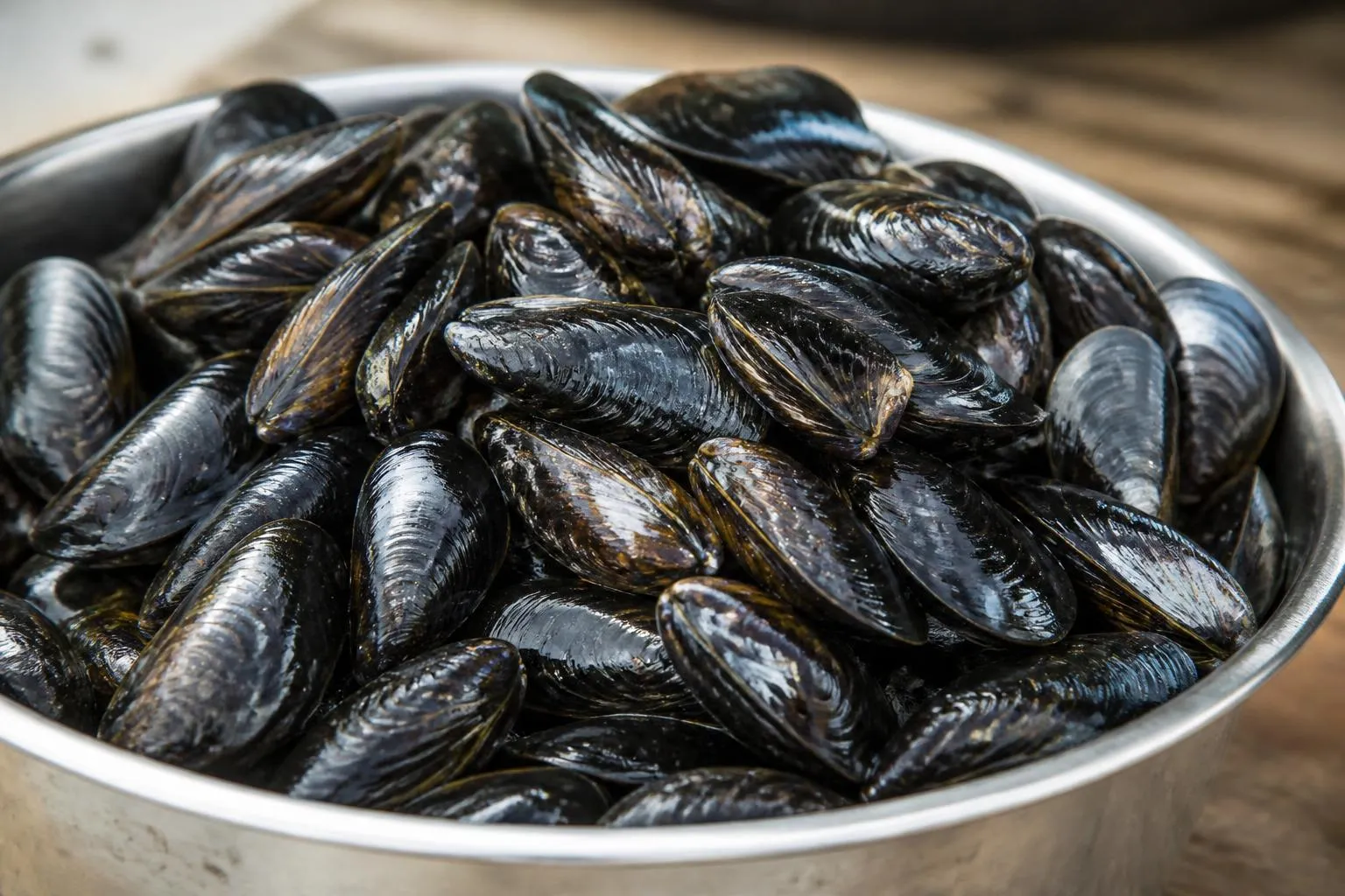 Moules noires luisantes aux coquilles fermées dans une bassine en inox